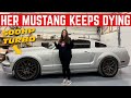 MY NEIGHBOR'S TURBO MUSTANG DIES EVERY OTHER DAY... CAN WE RESCUE HER?