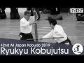 Ryukyu kobujutsu  inoue kisho  42me dmonstration nationale de kobudo japonais