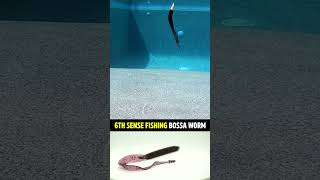 6th Sense Fishing Bossa Ribbon Tail Bass Fishing Worm #shorts