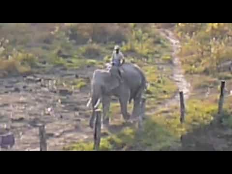 পরিবারিক ট্যুরে ব্যাচেলর জীবনের স্বাদ