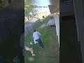 Hero Dog Saves Baby from Charging Bear #DogSavesBaby #HeroDog #BearAttack #CaughtOnCamera