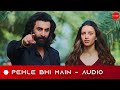 Pehle bhi main audio  animal  ysm version  ranbir tripti  vishal mishra