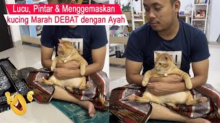 Funny and SMART/ANGRY cats can debate with DAD/funny cats compilation/#CT