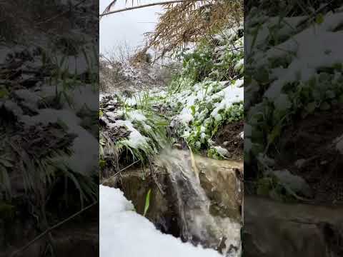 لبنان Lebanon ثلج Sky Snowy Fyp Foryou Viral اجمل المناظر من لبنان