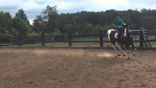 Riding lesson raws