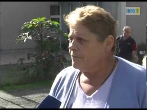 დამნაშავის მფარველობა