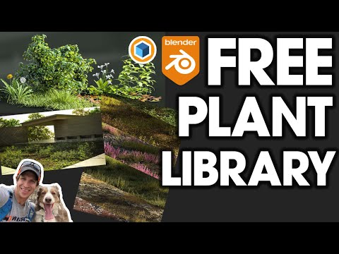 The BEST Free