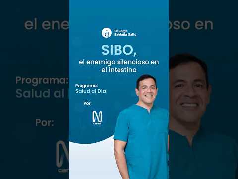 SIBO, el enemigo silencioso en el intestino