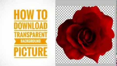 How  to find Images with Transparent Backgrounds using Google Image Search