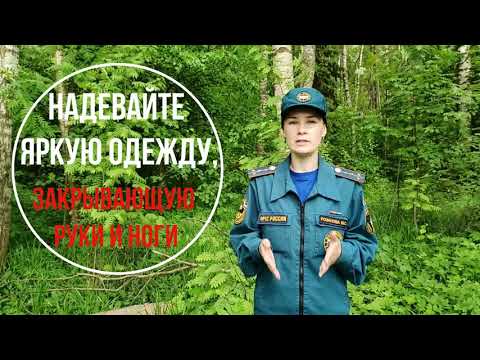 Правила безопасности при