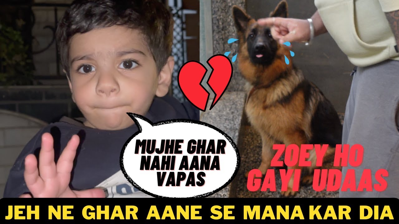 Jeh Ne Zoey Ke Paas Vapas Ghar Aane Se Mana Kar Diya Jeh Nani Ke Ghar jeh-ne-zoey-ke-paas-vapas-ghar-aane-se-mana-kar-diya-jeh-nani-ke-ghar