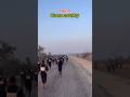 Odisha Police 🚓🚨 // Government job 🔥 #odishapolice #running #shorts #osap #irb #ytshorts #odisha