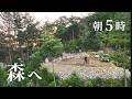 #80 忙しい日々の合間、朝の森へ | 30代田舎暮らしの手仕事