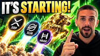 The Bull Market Is Back: Why I'm Loading Up on XRP, XLM & HBAR