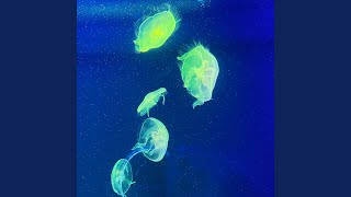 上上籤(Prod.Aim high)