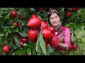 Harvest ruby henfruit and sell  harvesting  gardening  ella daily life