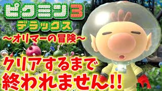 【デラックス版限定】オリマーの冒険！クリアするまで終われません！【ピクミン３】