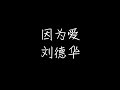 刘德华 因为爱 动态歌词
