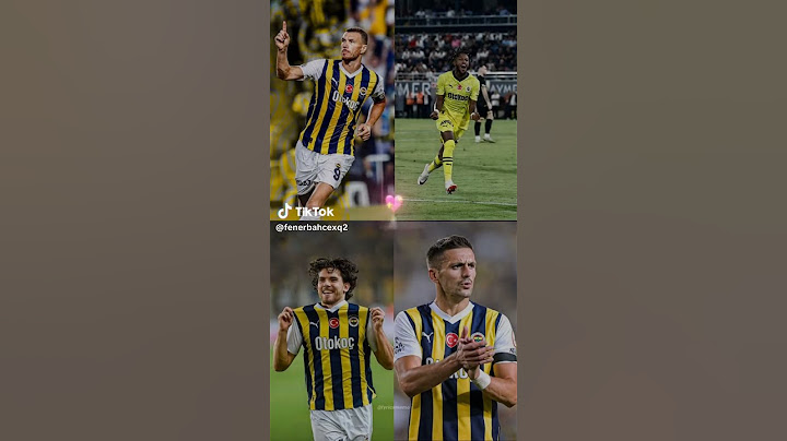 ferdi kadıoğlu,dusan tadic,fred,edin dzeko