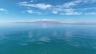 Botan - Sîya Dîwaran 🥀🥀🥀 (Gölgelere Selam)