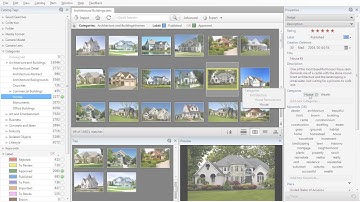 Daminion - Network-Based Digital Photo Manager (3-mins Intro)