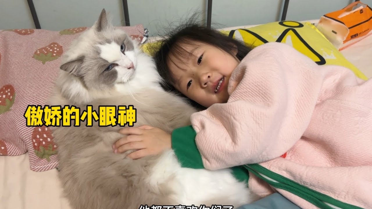 原来猫咪受得委屈，我女儿都替他记着呢