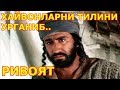 Хайвонларни тилини биладиган одам хикоя ривоят