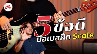 5 ข้อดีของการฝึก Scale ที่มือเบสก็ควรรู้ | Music Trick