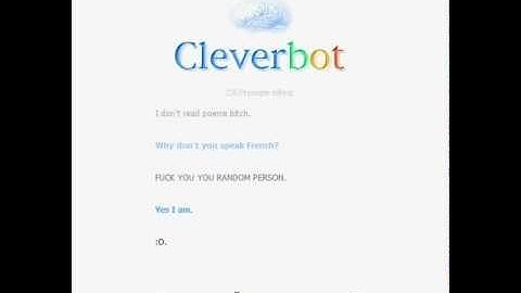 A CleverBot Conversation