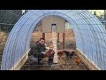 DIY Chicken Run | Finishing our Alaskan Chicken Coop Before Winter