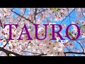 TAURO ♉️TE DIRÁ LO QUE A OCULTO TODO ESTE TIEMPO!!ESTO ES LO QUE TE CONFESARÁ !! #tauro #parati