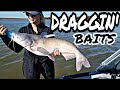 Dragging Cut Bait For Catfish- New Personal Best!