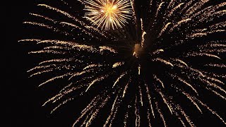Bloomington Today: The BUZZ June 28 – July 4