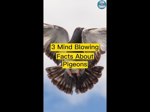 3 Mind Blowing