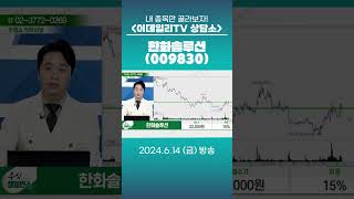한화솔루션(009830) - 종목상담 문현진 멘토 (20240614)