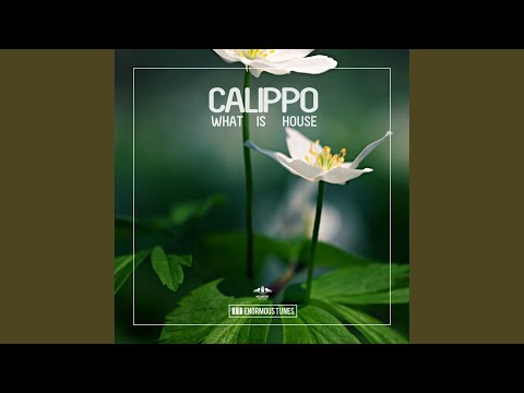 Calippo - What Is House