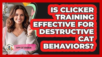 Is Clicker Training Effective For Destructive Cat Behaviors? - Happy Cat Handbook