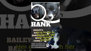 Celebrity Missing Bailey Blunt Wealth