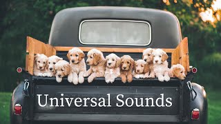 Save you - LiQWYD (No Copyright Music) Background Music for videos