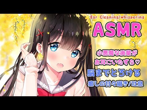 ?【ASMR】小悪魔な後輩ちゃんがお耳に悪戯♡癒しの気持ちいい音【耳かき・甘々囁き・吐息etc】Ear Cleaning/whispering/Relaxing