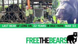 LAST bile bear rescued (Long An Province) after 22 years in a cage!