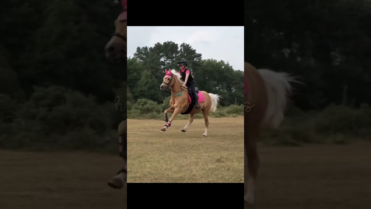 popcorn is the fastest racing pony! 🫶🏻❤️