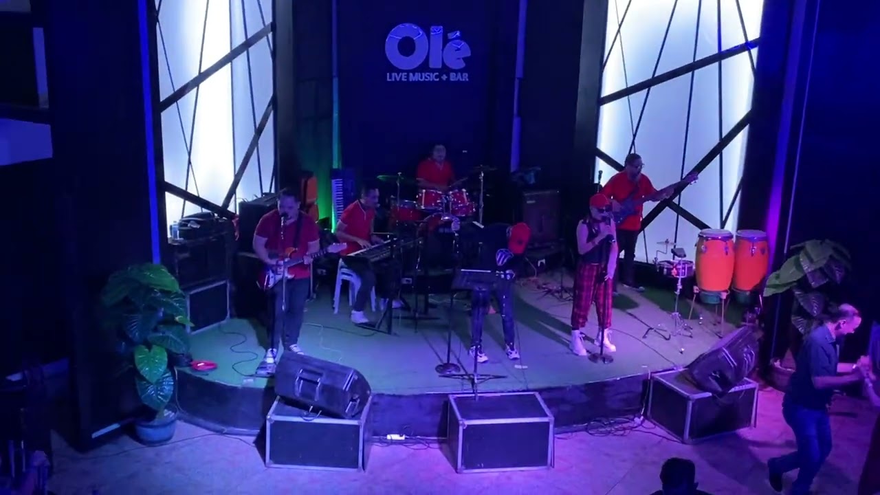 Stayin Alive By Firelights Band