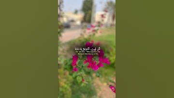 أَمَّن يُجِيبُ الْمُضْطَرَّ إِذَا دَعَاهُ وَيَكْشِفُ السُّوءَ (62) | سورة النمل