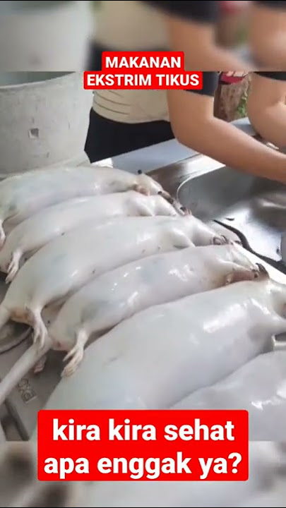 MAKAN APA NIH | MAKANAN YANG EKSTRIM