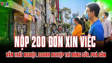 Nộp 200 ĐƠN XIN VIỆC vẫn THẤT NGHIỆP, DOANH NGHIỆP thì ĐÓNG CỬA, PHÁ SẢN