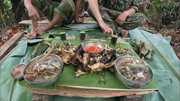 #638. Ngăn suối tát cá, bắt ếch, phiêu lưu trong rừng