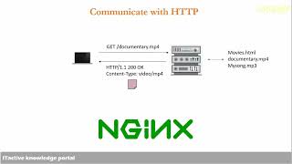 The thirteenth video in the Nginx training course - HTTP Response Status Codes
