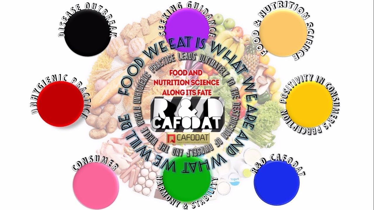 Food Color Wheel Chart