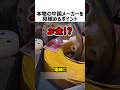 中国メーカの本物を見極めるポイント